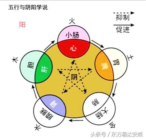 陰陽五行意思